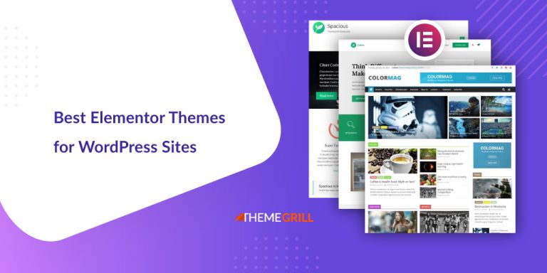 23 Best Elementor Themes for WordPress Sites in 2024